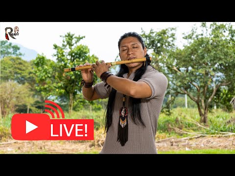 New Live Andean Instrumental Music From Nature