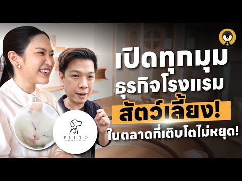 เปิดทุกมุมธุรกิจโรงแรมสัตว์เลี้ยง! ในตลาดที่เติบโตไม่หยุด! | Torpenguin