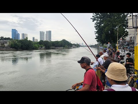 Bagyong Pepito Kaya Maraming Isda sa Ilog Pasig | Tara na't Mamingwit