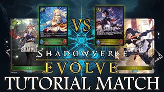 How to Play SHADOWVERSE EVOLVE!! | Elf / Forestcraft vs Royal / Swordcraft Tutorial Match