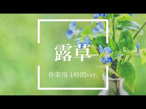 【フリーBGM】露草 1時間版【ピアノソロ/作業用BGM】