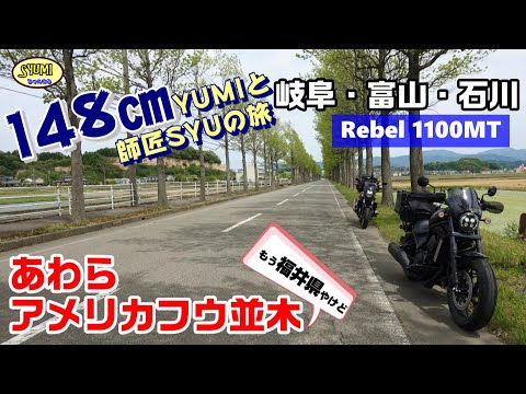 あわら アメリカフウ並木【Rebel 1100MT】岐阜・富山・石川ツーリング  140