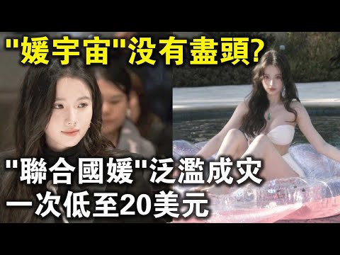 “聯合國名媛”氾濫成災，一次低至20美元？聯合國付費最全“價目表”，只能幫你到這了！