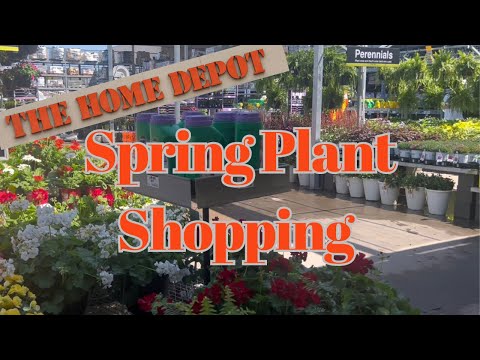 Plant Shopping Inspo at Home Depot | Time To Plant Up My Front Foundation Beds!!!