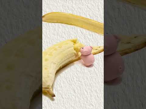 Pig dog eating banana food ( ASMR )🐷🐷🍌🍌🍌 #shorts #pigdog #funny #babyclothes #banana