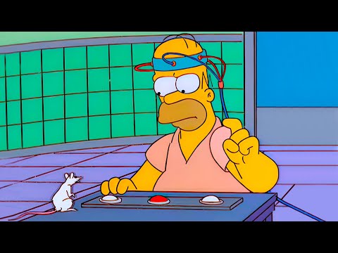 The Simpson, the Secret of Homer's Intelligence! The Simpsons 2024 - Best moments