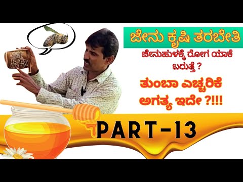 PART -13  ಜೇನುಹುಳ ರೋಗದ ಬೆಗ್ಗೆ ನಿಮಗೆ ಎಷ್ಟು ಗೊತ್ತು?! | Main causes for diseased Bee