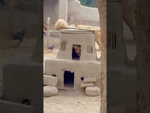 Real Simple Village Life in Punjab Pakistan