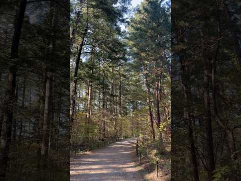 국립수목원 Korea National Arboretum