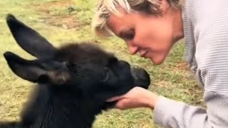 Donkey makes sweetest sound for human mom