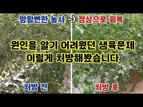 원인을 알기 어려웠던 생육문제 이렇게 처방해봤습니다.