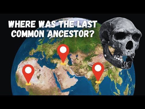 Archaeologists are Unraveling the Mysteries of Ancient Humans