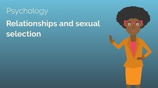 Relationships and Sexual Selection - Psychology A-level Revision Video - Study Rocket