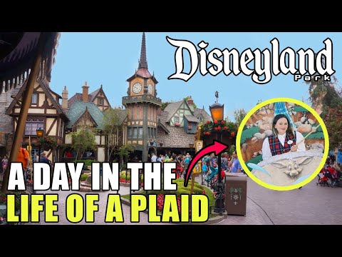 What's it Like Being a Disney Plaid? | Interview with Former Plaid Ariel