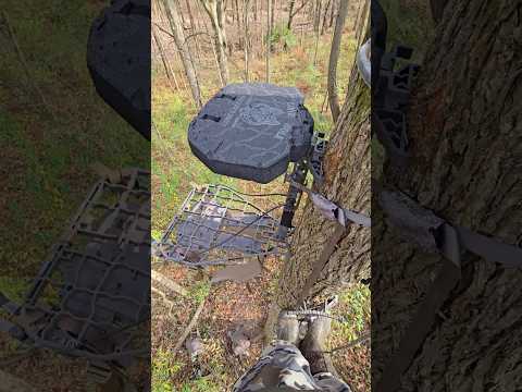 Hands free tree stand removal tip 🔥 #deerhunting #bowhunting #shortshorts