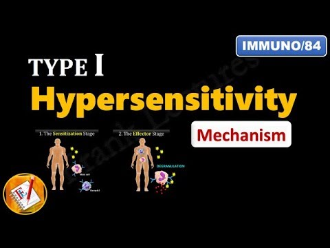 Type I Hypersensitivity Reactions (PART 2) : Mechanism explained! (FL-Immuno/84)