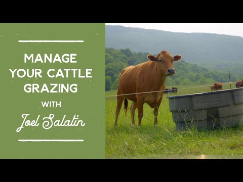 How to Manage Your Cattle Grazing Course with Joel Salatin (Teaser Trailer #4)