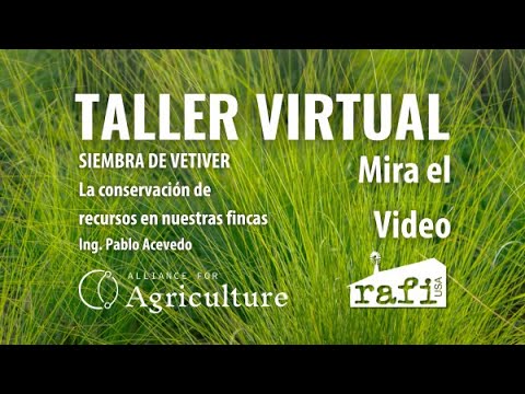 TALLER VIRTUAL