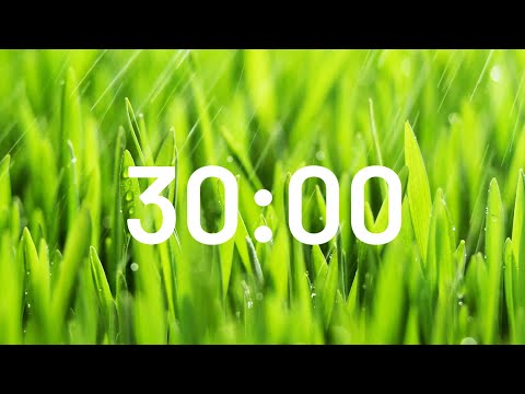 30 Minute Relaxing Rain Sound Timer 🌧️