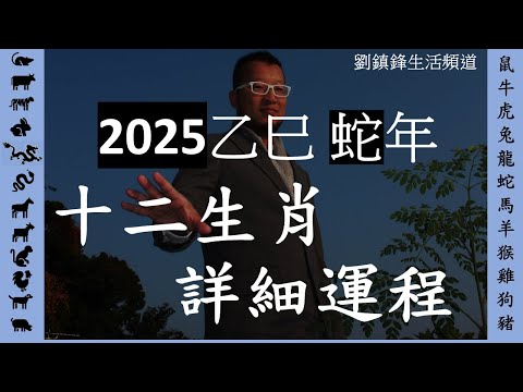 2025年十二生肖運程 詳細|吉凶星 風水佈局 不同出生年份 |鼠牛虎兔龍蛇馬羊猴雞狗豬|劉鎮鋒生活頻道