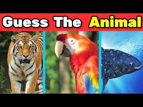 Can You GUESS THE ANIMAL By Image | ANIMAL QUIZ🐶🦁