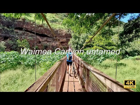 Exploring Waimea Canyon's Hidden Trails on gravel bikes!