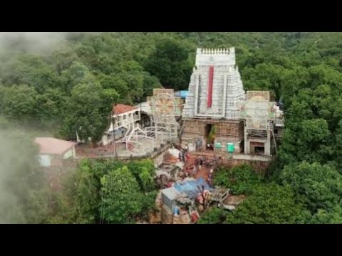 tirumala nadaka dhari TTD #tirupati #ytshorts #Tirumala #TTD