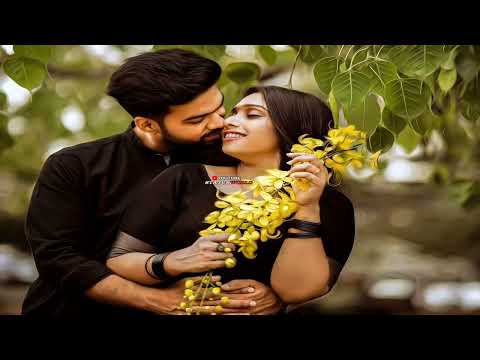 Bengali romantic WhatsApp status ❤️Dao bole dao bangla gan status newsong status video Status world