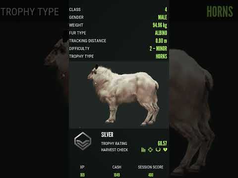 First ALBINO Tahr #thehuntercallofthewild #thehuntercotw #thehunter