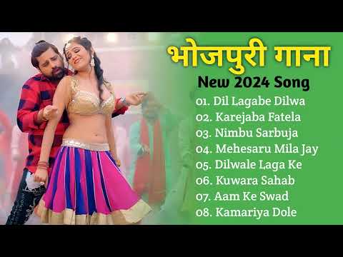 दिल लगाईब देवरवा से new Bhojpuri nonstop Bhojpuri song #Pramod Premi Yadav ke superhit nonstop 2024