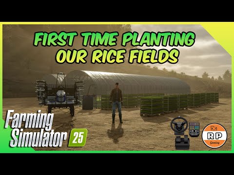 Farming Simulator 25 Planting Our First Rice Crop