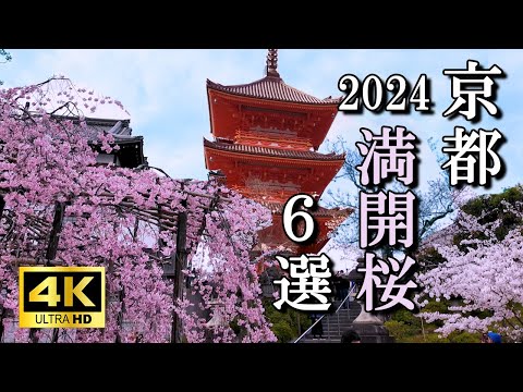 2024年4月5日撮影　京都満開の桜6選　南禅寺　蹴上インクライン　清水寺　哲学の道　平安神宮　上賀茂神社