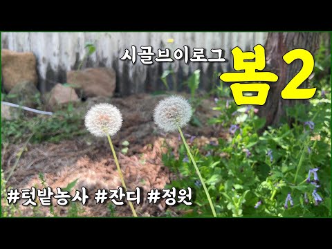 주말 시골라이프 (정원, 잡초, 텃밭) / countryside, rustic, farming