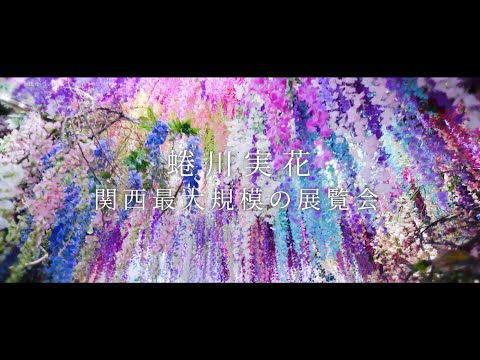 蜷川実花展SPOT_15sec