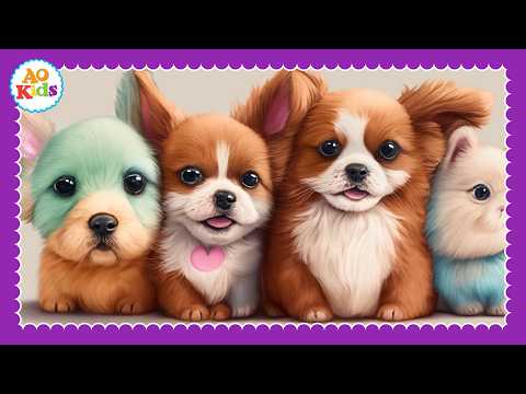 My Favorite Pets Compilation!