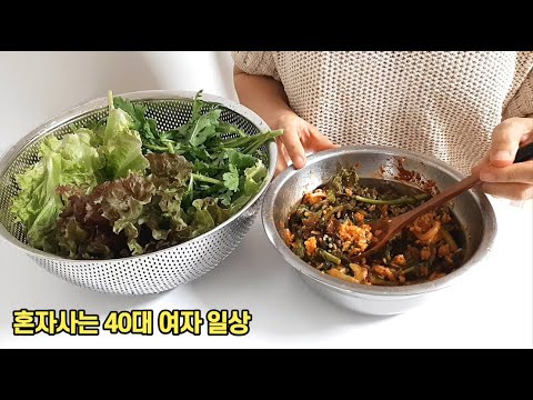 40후반 1인가구 일상 브이로그 vlog 진짜 소소한 혼자 일상