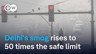 Why Delhi can't get its toxic smog under control | DW News