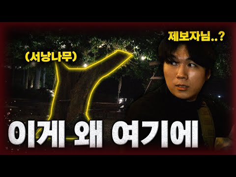 A restaurant where even customers see ghosts?! 🏠👻 Jeju Island restaurant #haunted