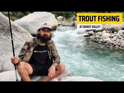 Trout fishing at Barot Valley