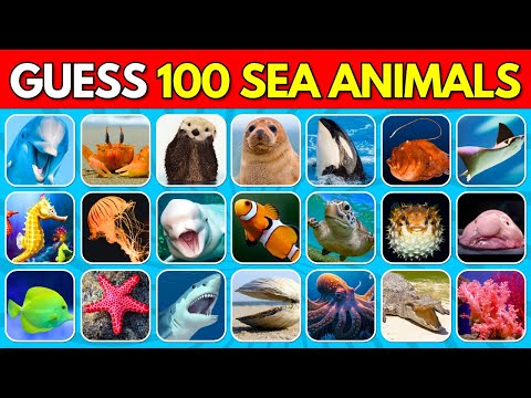 Guess 100 Sea Animals in 3 Seconds 🐡🦑 | Easy, Medium, Hard, Impossible