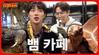 Snake + Snake Zodiac Doojoon + Snake-tongued Sung-kyu! 🐍 | Yoon Doojoon | Snake Cafe | Workman 2