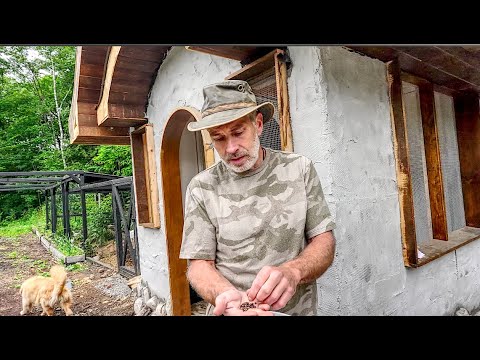 Fermenting and Sprouting Grains for my Laying Chickens