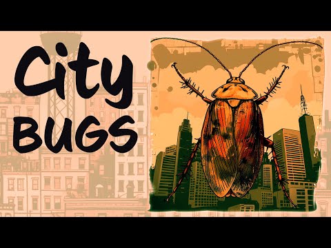 Which BUGS live in cities? 🐜🦗 bonus DOWNLOADS