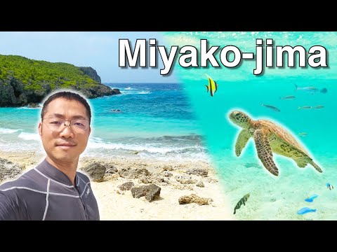 Trip to Miyako-jima "Hawaii of Japan" 〜宮古島〜 Japan Vlog | easy Japanese home cooking recipe