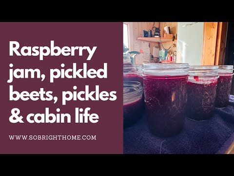 Cabin VLOG - garden preserving & more!