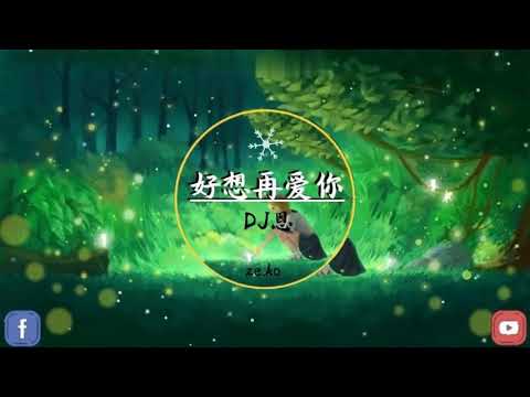 好想再爱你 DJ热播版 杨小恩 『好恨我自己沒有把你留下來，這所有的錯讓我獨自承擔』