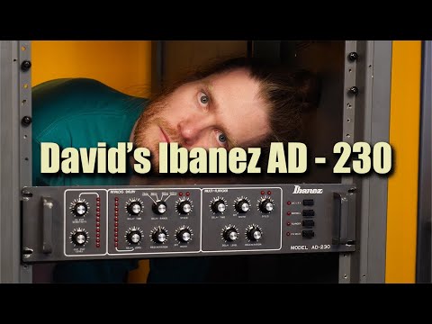 David’s Ibanez AD - 230