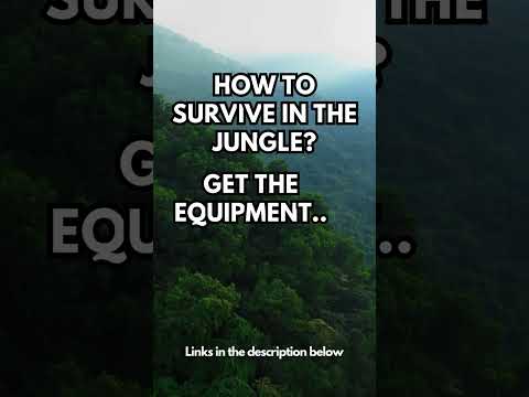 🔴 SURVIVAL IN THE JUNGLE [TOOLS] #shortsvideo