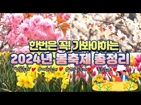 무조건 꼭 가세요!!ㅣ3월에 놓치면 후회하는 봄꽃 여행지 추천 ㅣ2024 봄꽃 축제정보 총정리ㅣ개화시기 만개시기ㅣ매화 벚꽃 산수유 수선화 튤립 축제 일정