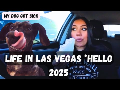 life in LAS VEGAS *HELLO 2025